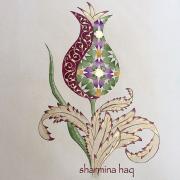 tezhip (1)