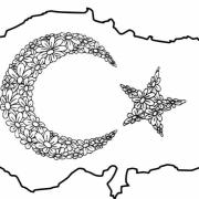Turk-Bayragi-Boyama-Kagidi-Calismasi-8