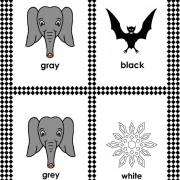 white-gray-and-black-color-flash-card