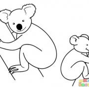 yavru_hayvanlar_albumu_-_koala