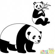 yavru_hayvanlar_albumu_-_panda