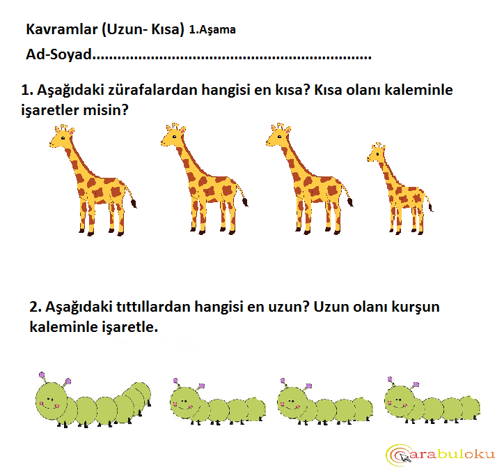 uzun-kısa-2