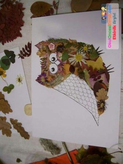 yapraklar ile ilgili  etkınlıkler  (80)