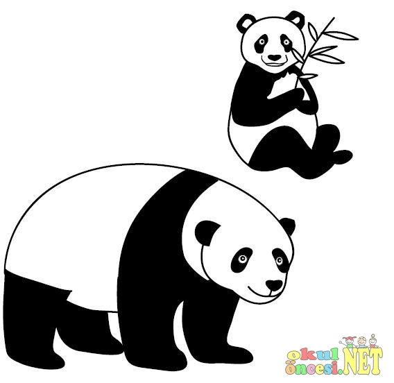 yavru_hayvanlar_albumu_-_panda