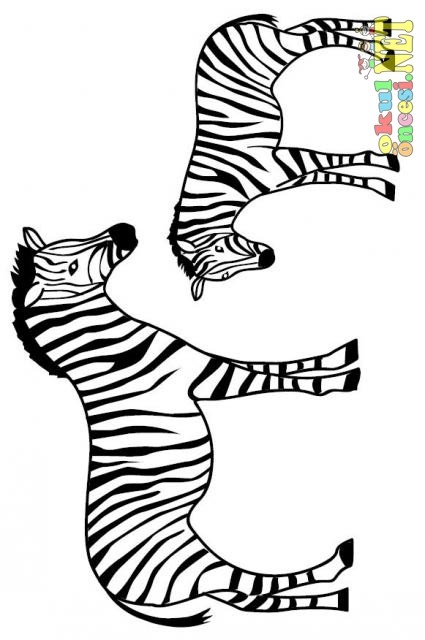 yavru_hayvanlar_albumu_-_zebra