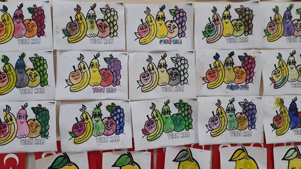 yerli malı (28)