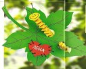 arı etkınlıği (218)