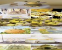 arı etkınlıği (65)