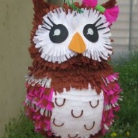 baykuş (54)