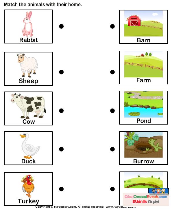 Home match. Farm animals for Kids задания. Английский язык для детей животные на ферме задания. Worksheet на тему farmanimals. Упражнения на тему ферма на английском.