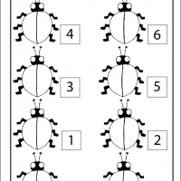Artık Materyaller,Proje Çalişması, Sınıf Süsleme ,Kapı Süsü, Sayı Birleştirme,Arı Çalişması ,Balık  ,Kuş ,Baykuş,Maymun ,Kurbağa  Çalişması(1748)
