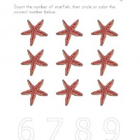 Artık Materyaller,Proje Çalişması, Sınıf Süsleme ,Kapı Süsü, Sayı Birleştirme,Arı Çalişması ,Balık  ,Kuş ,Baykuş,Maymun ,Kurbağa  Çalişması(1817)