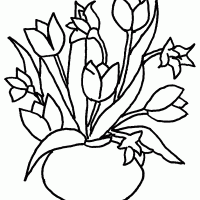 blume20