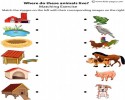 boyama ve sanat etkınlığı (102)