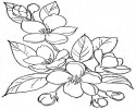 çiçek (13)