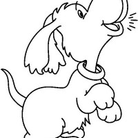 COLOR_DOG_BW_thumb