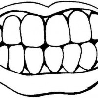 duyuorganlari14