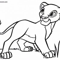 image_2848