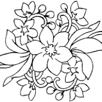images (1)