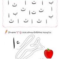 images (4)