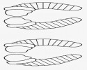 kalıplar (1)