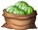 karpuz