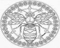 mandala çalişması (3)