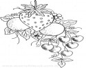 meyve (2)