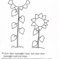 sanat etkinliği ve boyama sayfası (304)
