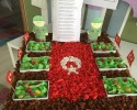 sanat etkinliği (465)