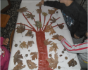 sanat etkınlığı (6)