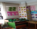sanat ve boyama çalişması (93)