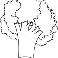 sebzeler (10)