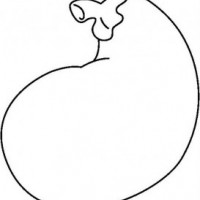 sebzeler (12)