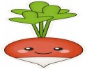turp