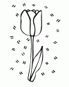1 (19)