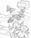 1 (20)