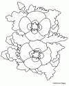 1 (25)