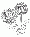 1 (31)