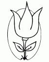 1 (5)