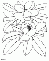 1 (54)