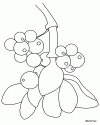 1 (55)