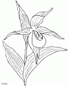 1 (56)