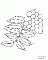 1 (57)