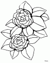 1 (59)