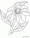 1 (64)