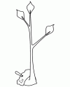 1 (79)