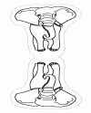 fil