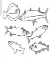 fische-551