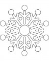 Kar tanesi (6)